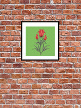 Bagh E Gulzar Rabia Wall Art